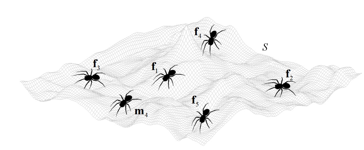 الگوریتم بهینه سازی عنکبوت اجتماعی SSA